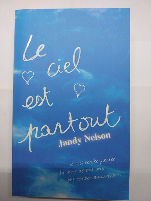 LE CIEL EST PARTOUT 4 Juan Les Pins (06)