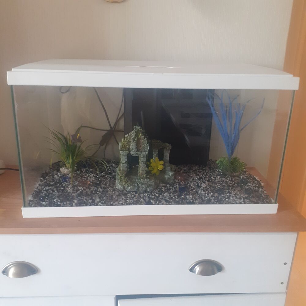 aquarium 60 litres Meubles