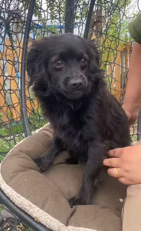 GUINESS SE TROUVE DANS UN REFUGE EN CHINE 0 75018 Paris