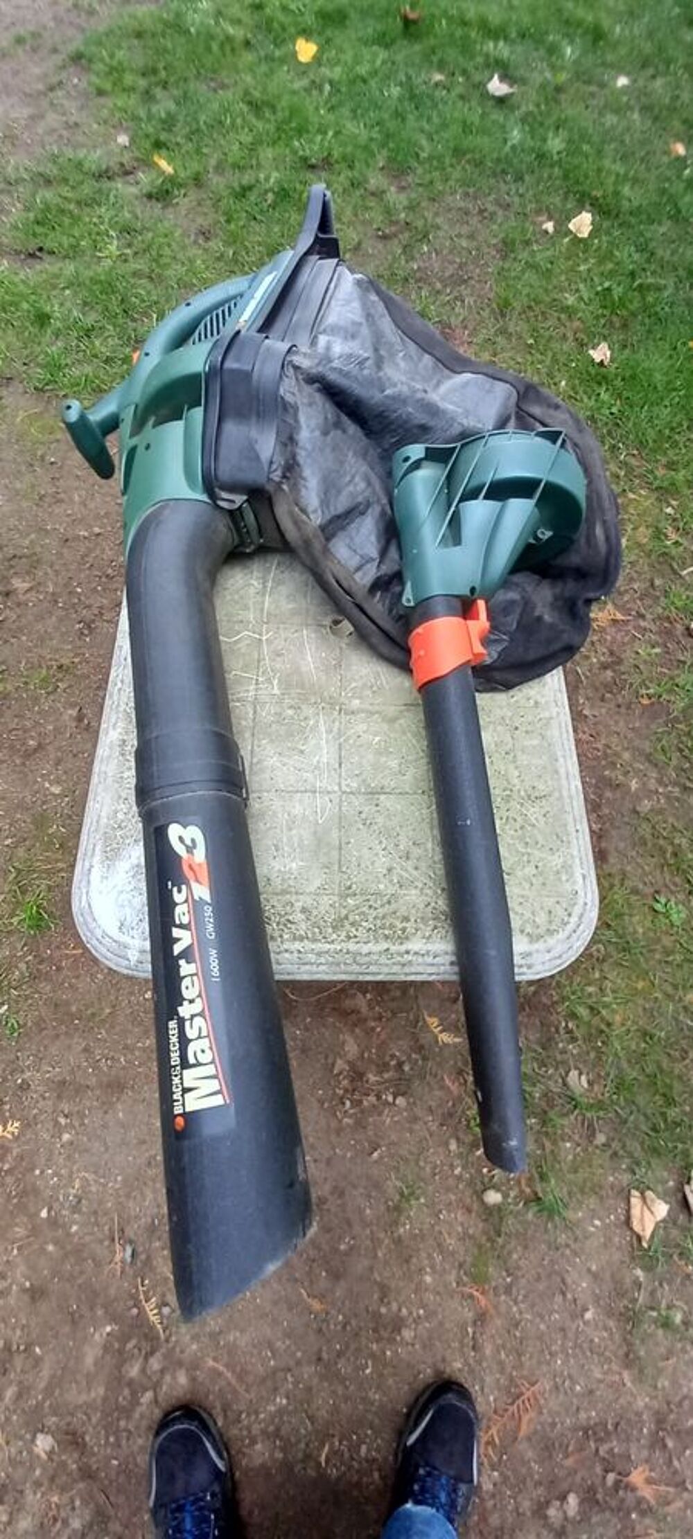 aspirateur souffleur de feuilles. Jardin