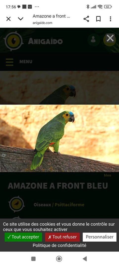 Amazone 0 76510 Saint-nicolas-d'aliermont