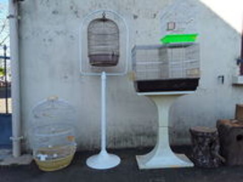   Cage     et accessoires  