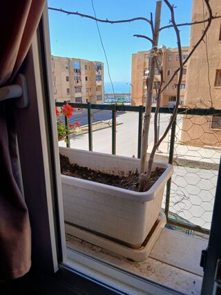  Appartement � vendre 5 pi�ces 125 m� Gouraya, alg�rie