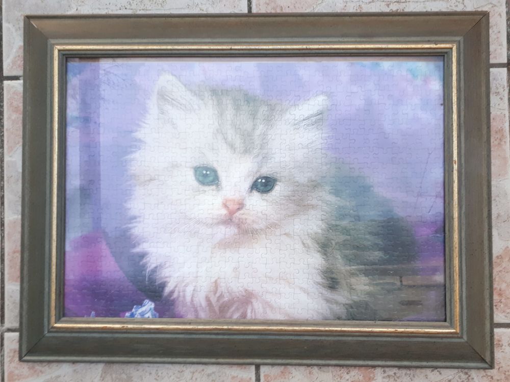 Cadre puzzle chat sous verre Décoration