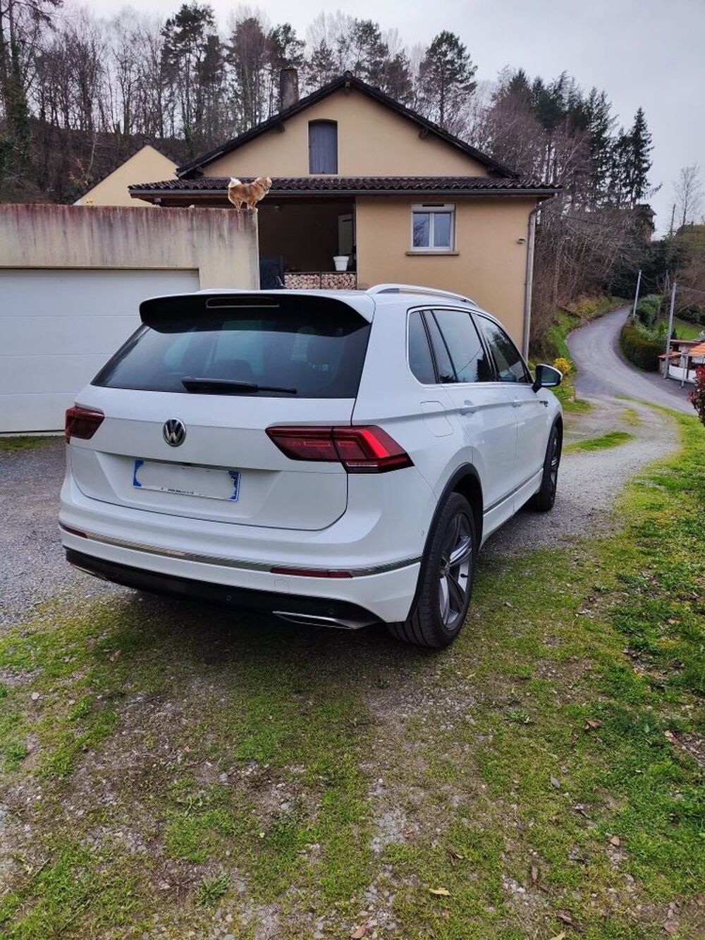 Tiguan 2.0 Bi-TDI 240 BMT DSG7 4Motion Carat Exclusive 2017 occasion 12110 Aubin