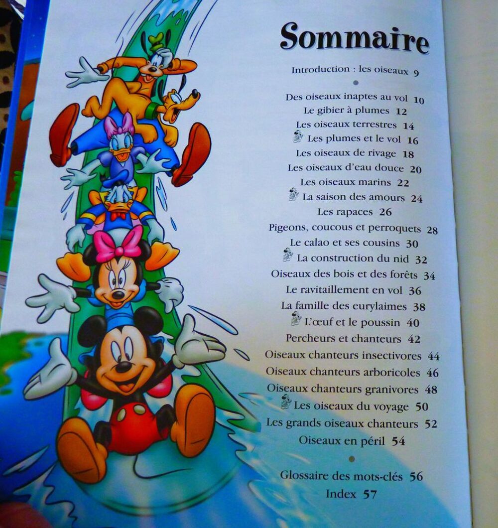 Les oiseaux Livre monde disney neuf Livres et BD