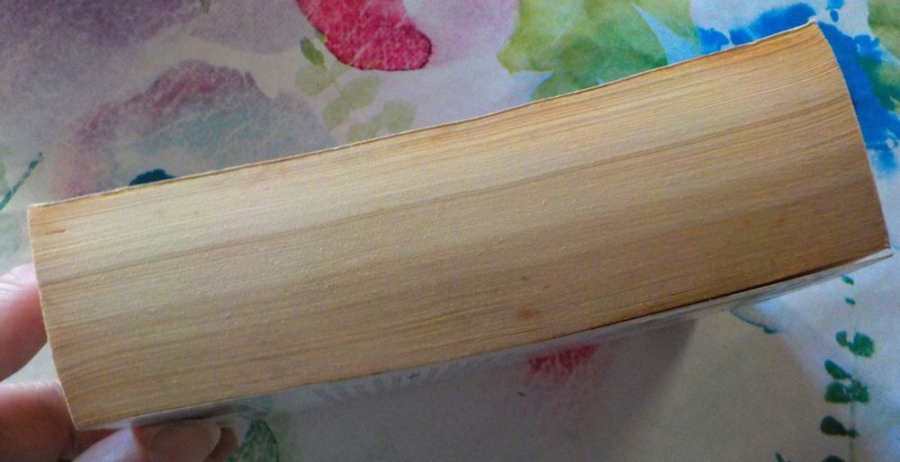 LES ETRANGERS de Dean R. KOONTZ Ed. J'ai Lu Epouvante Livres et BD