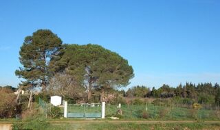  Terrain � vendre 850 m� Cuxac-d'aude