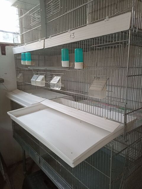 4 SUPERBES CAGES COVA 95 26130 Clansayes