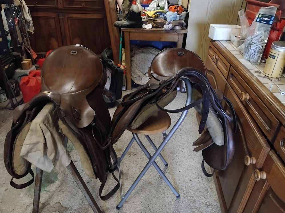   SELLES DE COLLECTION 
