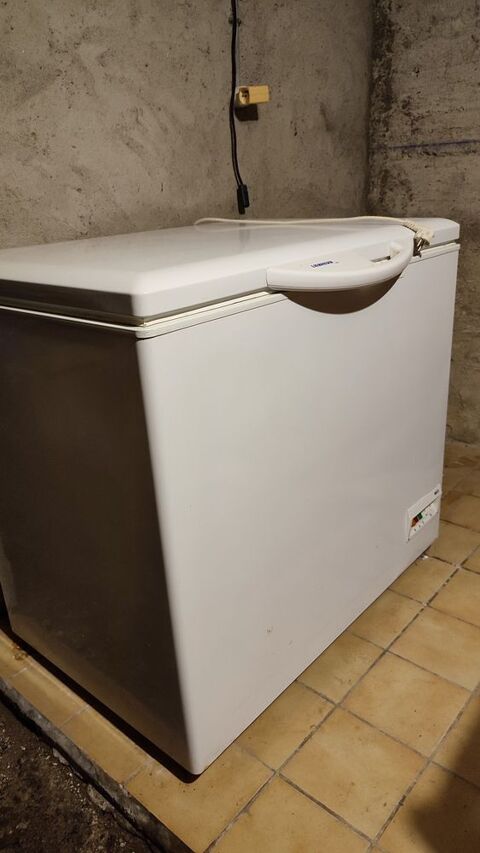 Cong�lateur coffre LIEBHERR de 299 litres 180 Paray-le-Monial (71)