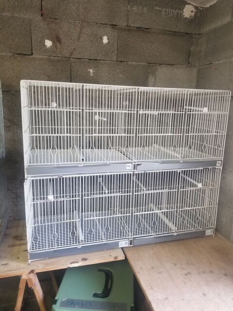 Cages  55 34150 Gignac