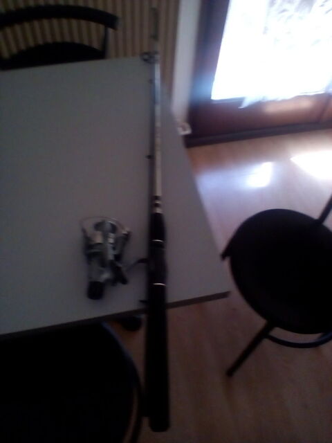 canne  pche 0 Dombasle-sur-Meurthe (54)