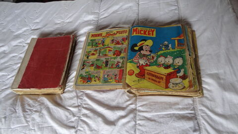  sacr� MICKEY 0 Saint-Georges-Antignac (17)