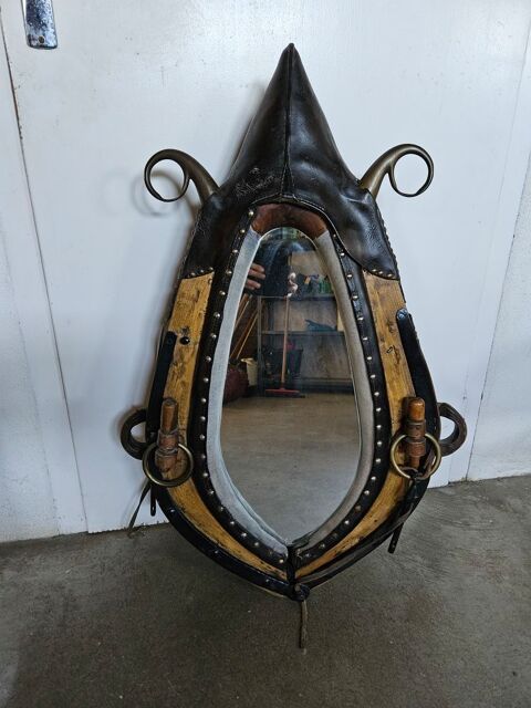 Collier de cheval Miroir Mâcon (71)