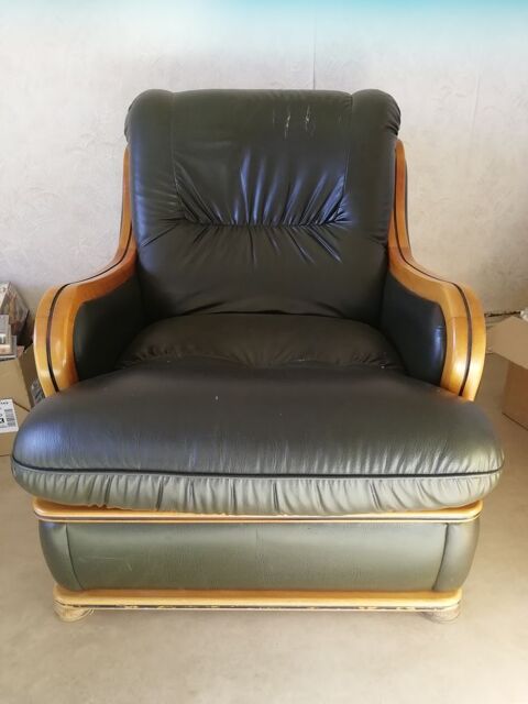 Fauteuil 50 Agen (47)