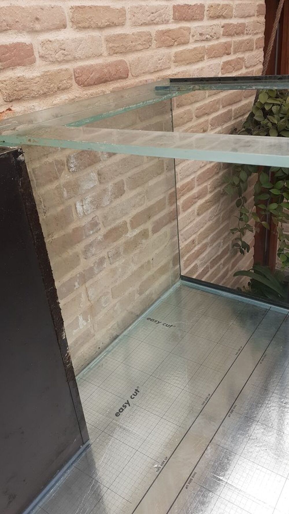 AQUARIUM 'CUVE SEULE' Décoration