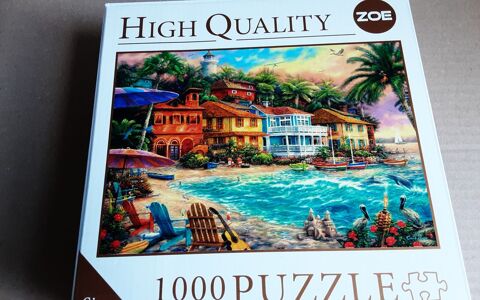 Puzzle Reims (51)