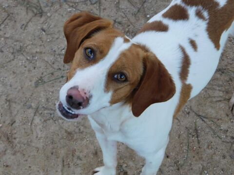 🩷LINA🩷� votre future meilleure copine d'aventures 💕🐾 🌟 315 24140 Douville