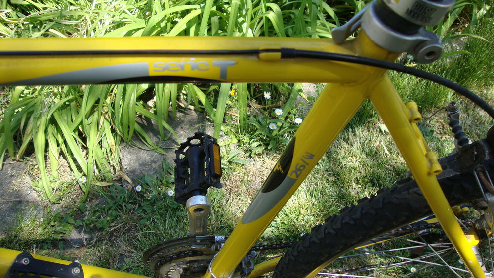 velo homme 
Vélos