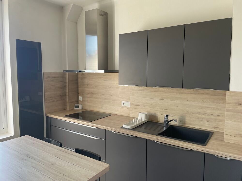 Location Appartement Appartement T3 meublé 64,9 m² avec jardin privatif et cave Nancy