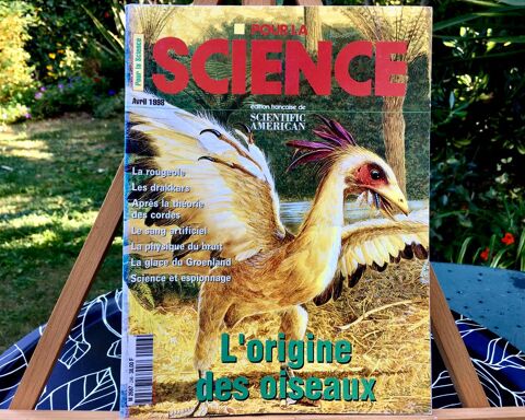 L'Origine des Oiseaux ; Revue   Pour la Science   Neuve,114p 2 L'Isle-Jourdain (32)