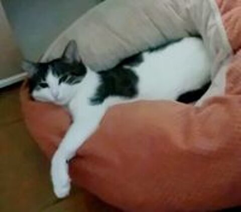   OLYMPE 