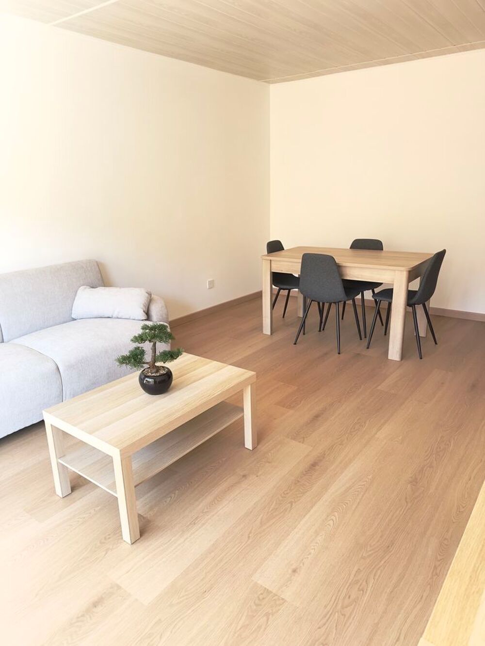 Location Appartement 2 pièces meublé Menton