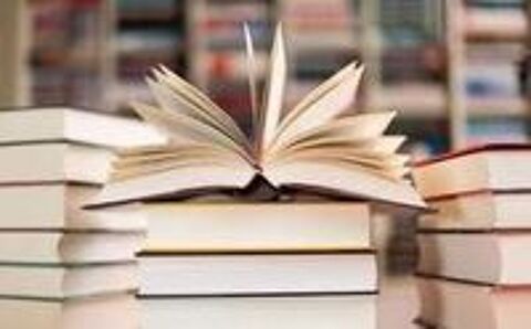   Professeur de fran�ais certifi� pour pr�paration brevet/bac  