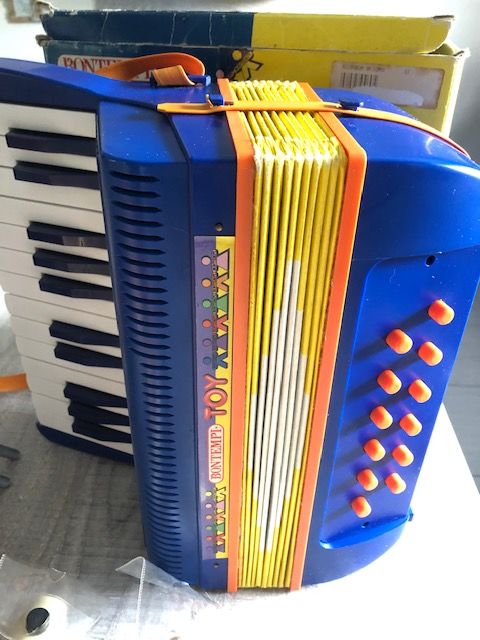 Accordeon initiation enfant 15 La Teste-de-Buch (33)