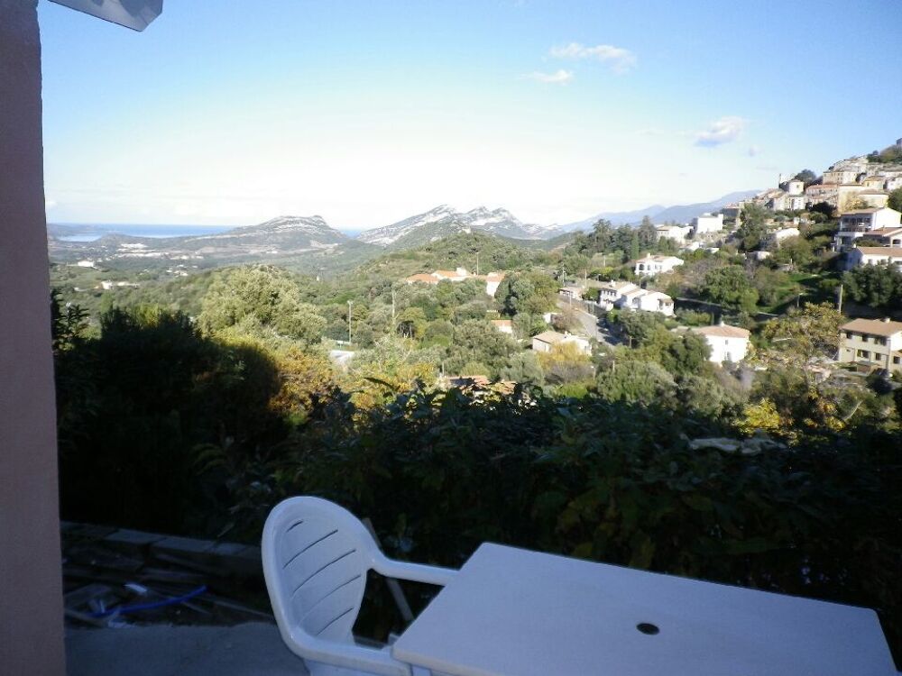   Studio vue panoramique mer et montagne  Corse, Oletta (20232)