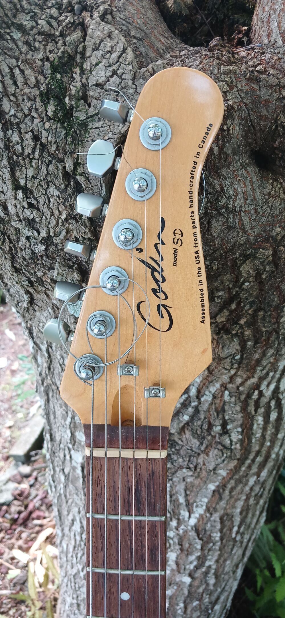 GUITARE ELECTRIQUE GODIN MODELE SD PARFAIT ETAT Instruments de musique