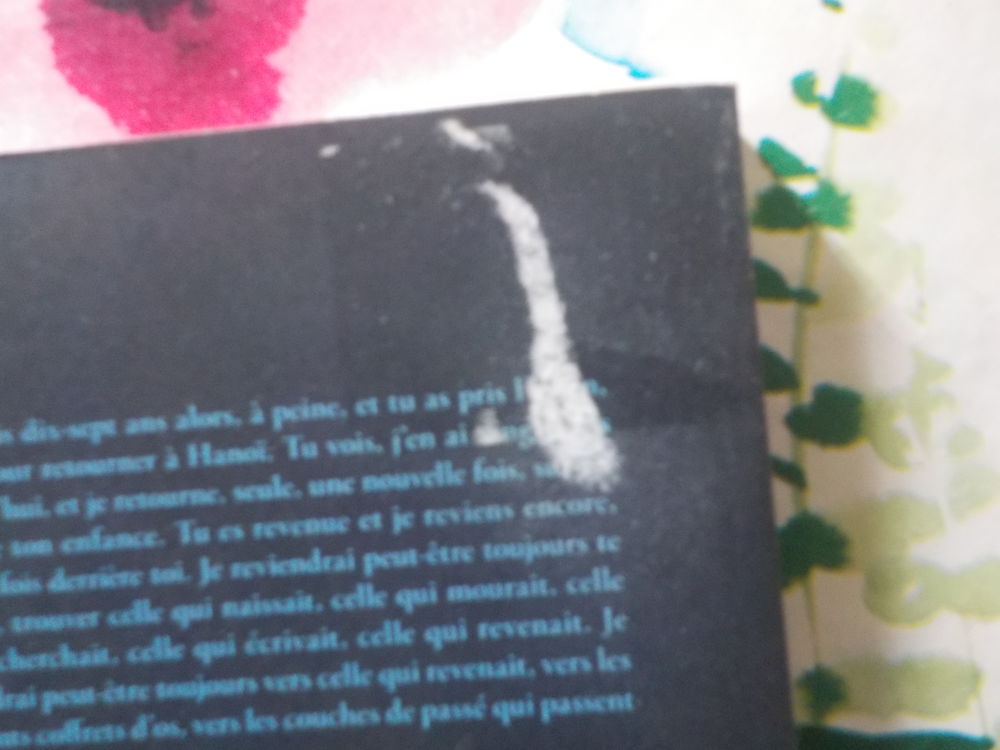LES OS DES FILLES de Line PAPIN Ed. Stock Livres et BD