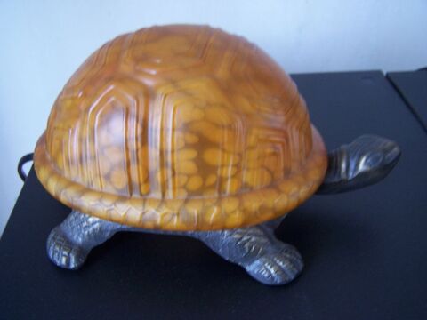 Lampe tortue 25 Marzy (58)