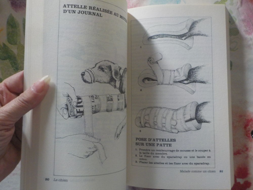 LA CONSULTATION VETERINAIRE par Dr P. ROUSSELET-BLANC Livres et BD