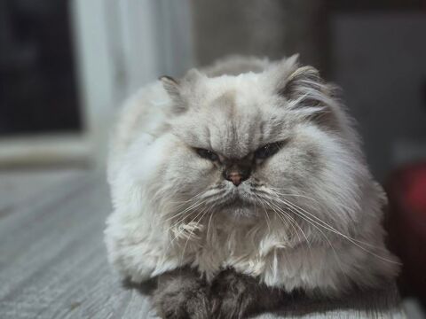 SOLENN 300 76220 Ferri�res-en-bray