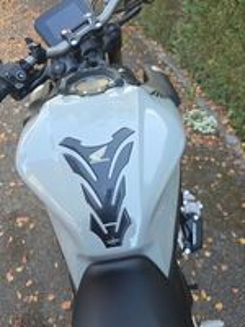 HONDA 2024 occasion 65300 Lannemezan