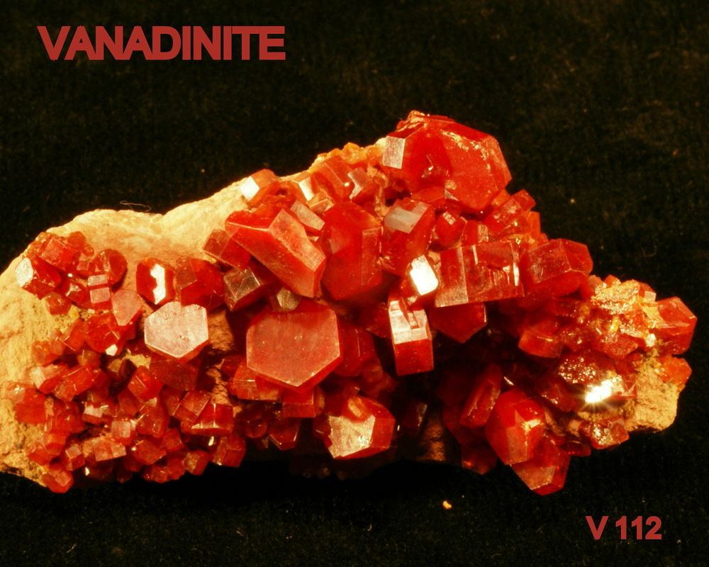 VANADINITE - MINERAUX DE COLLECTION 