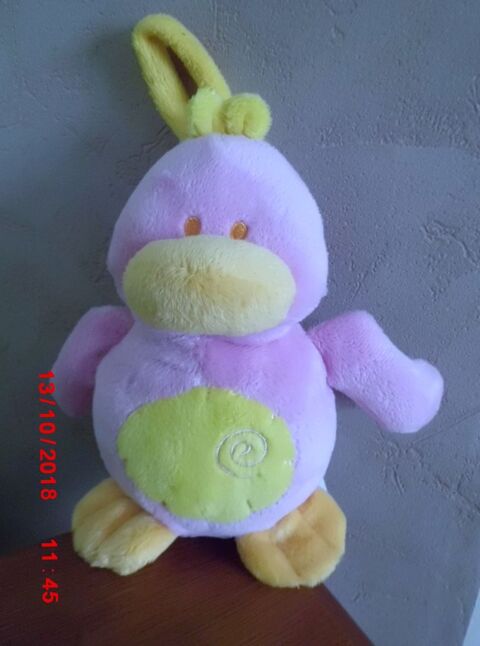 CANARD ROSE BIESSE BABY 15 Oignies (62)