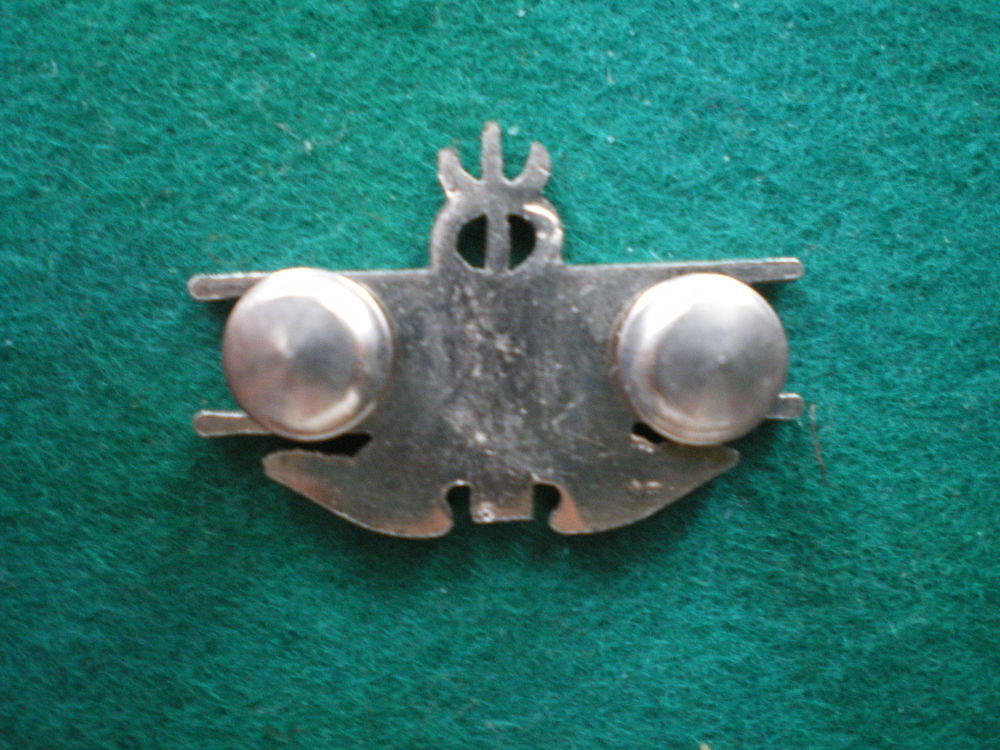 Insigne de Sant&eacute; - Expert Field Medical Badge US. 