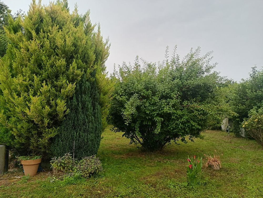 Vente Maison Le titre de votre anBelle maison de village 280m2h +dépendance Buffard