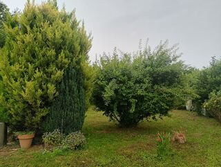Vente Maison Le titre de votre anBelle maison de village 280m2h +dépendance Buffard