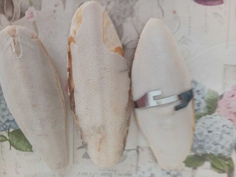 cage d'oiseau 70 Aydoilles (88)