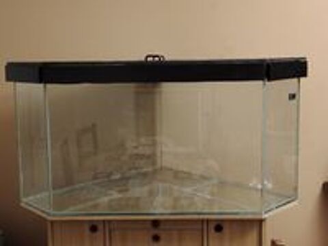   Aquarium sur mesure  