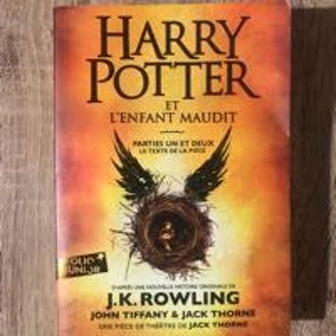 Harry Potter et l enfant maudit (part 1 et 2) 10 Floing (08)