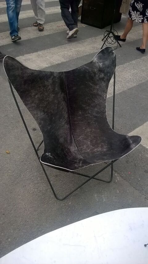 Fauteuil Butterfly 250 Reims (51)