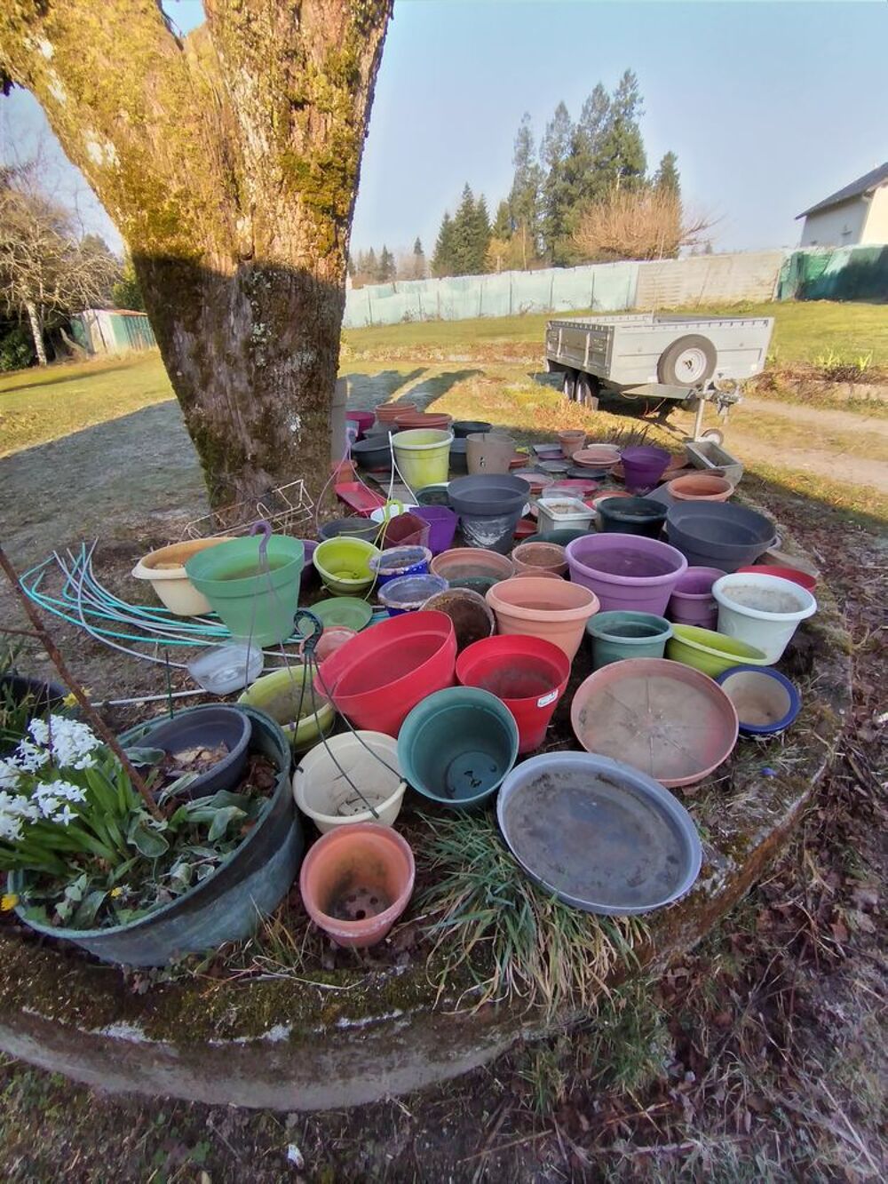 pots fleurs Jardin