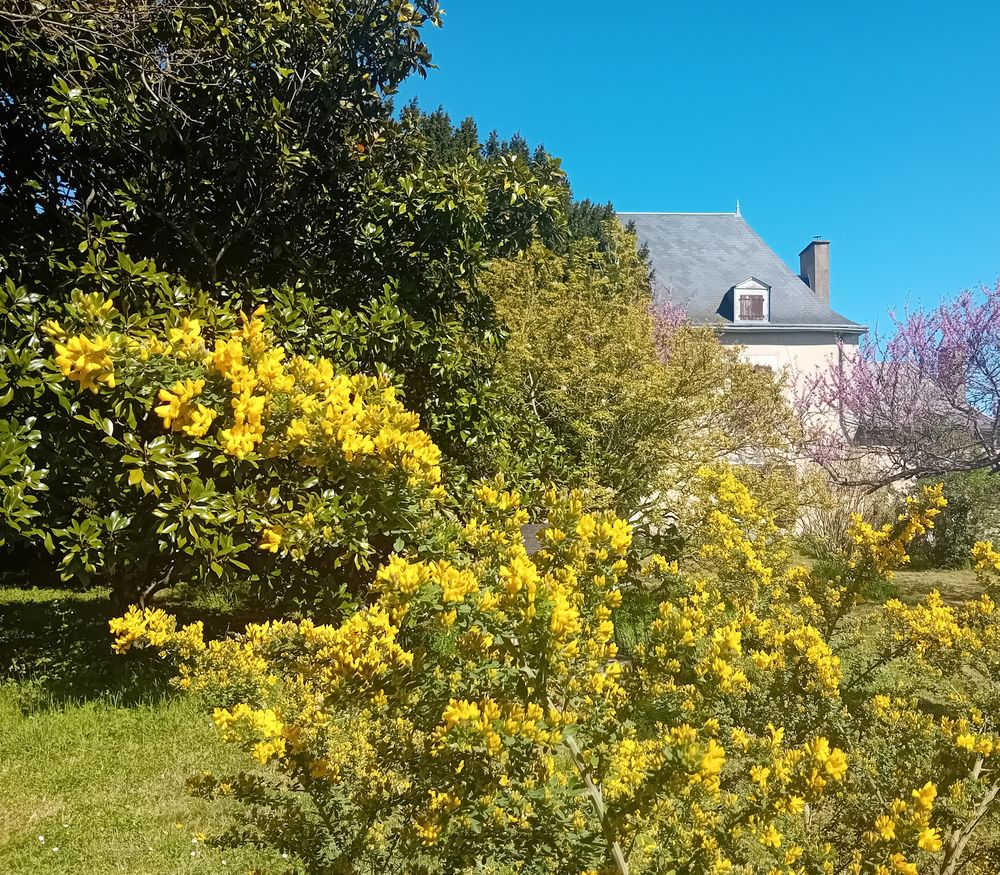 Vente Maison Maison de caractère du XIXème entre Poitiers/Chatellerault Vendeuvre-du-poitou