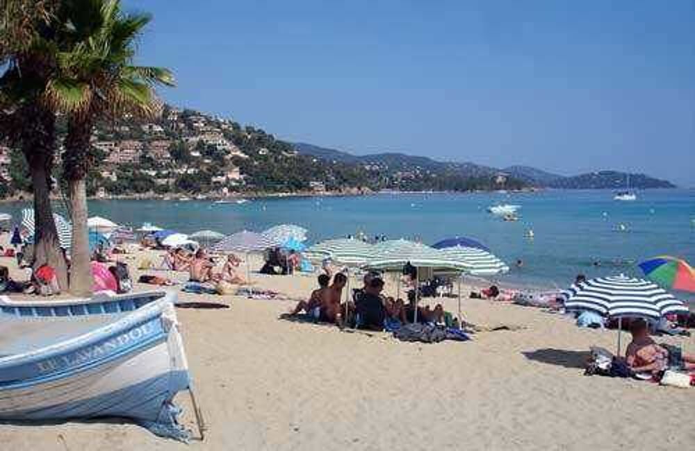   saisonnière Provence-Alpes-Côte d'Azur, Le Lavandou (83980)