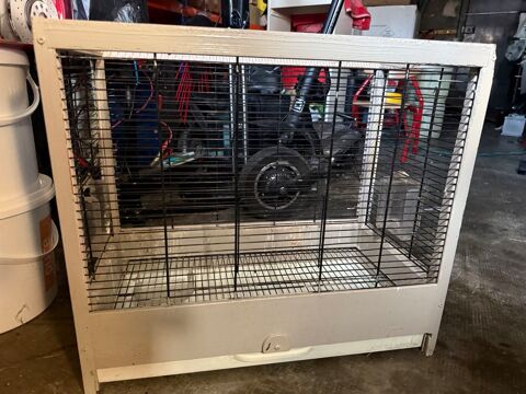 Cage pour oiseaux 15 93330 Neuilly-sur-marne